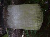 image of grave number 938288